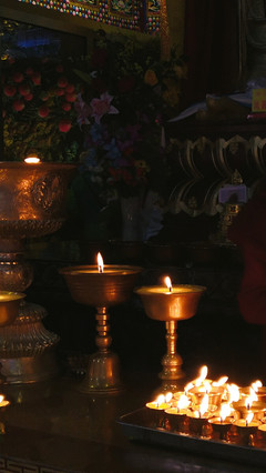 秋山無樹故崚嶒,幾度支筇未忍登。 荒路行愁逢牧馬,舊交老漸變高僧。 鐘樓自吼南朝寺,佛塔還燃半夜燈。 莫向雨花臺北望,寒云黯淡是鐘陵。